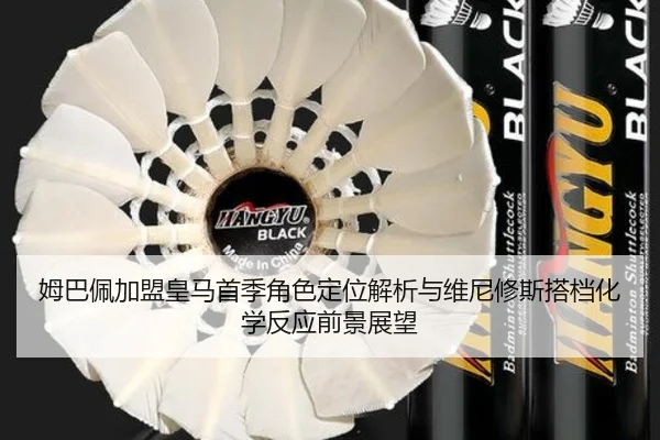 mu-ba-pei-jia-meng-huang-ma-shou-ji-jue-se-ding-wei-jie-xi-yu-wei-ni-xiu-si-da-dang-hua-xue-fan-ying-qian-jing-zhan-wang-3-176.jpg