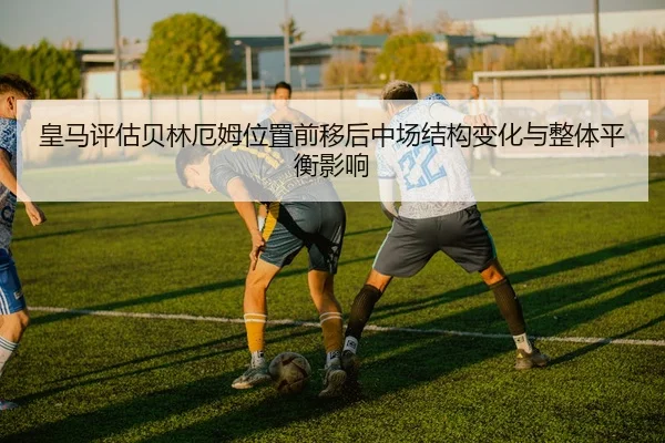 img_1780611783253_58_1_867.jpg