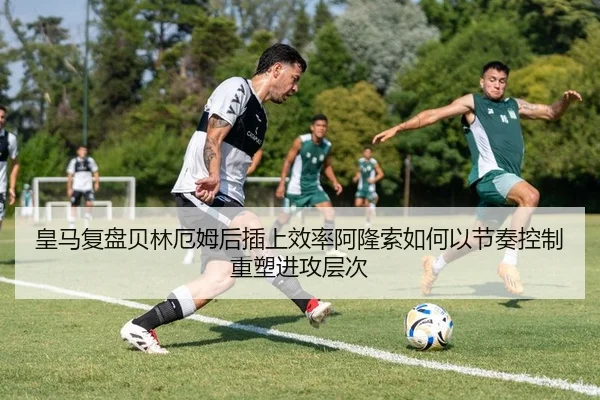 img_1783774538140_10_1_451.jpg